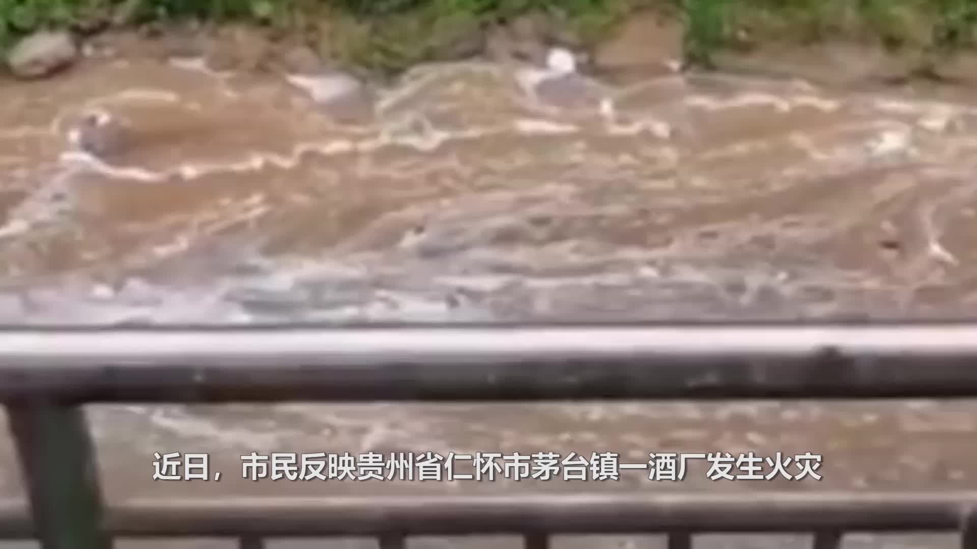罗志祥代言鸭脖视频截图