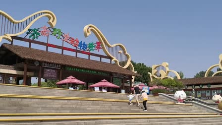 口袋妖怪游戏截图