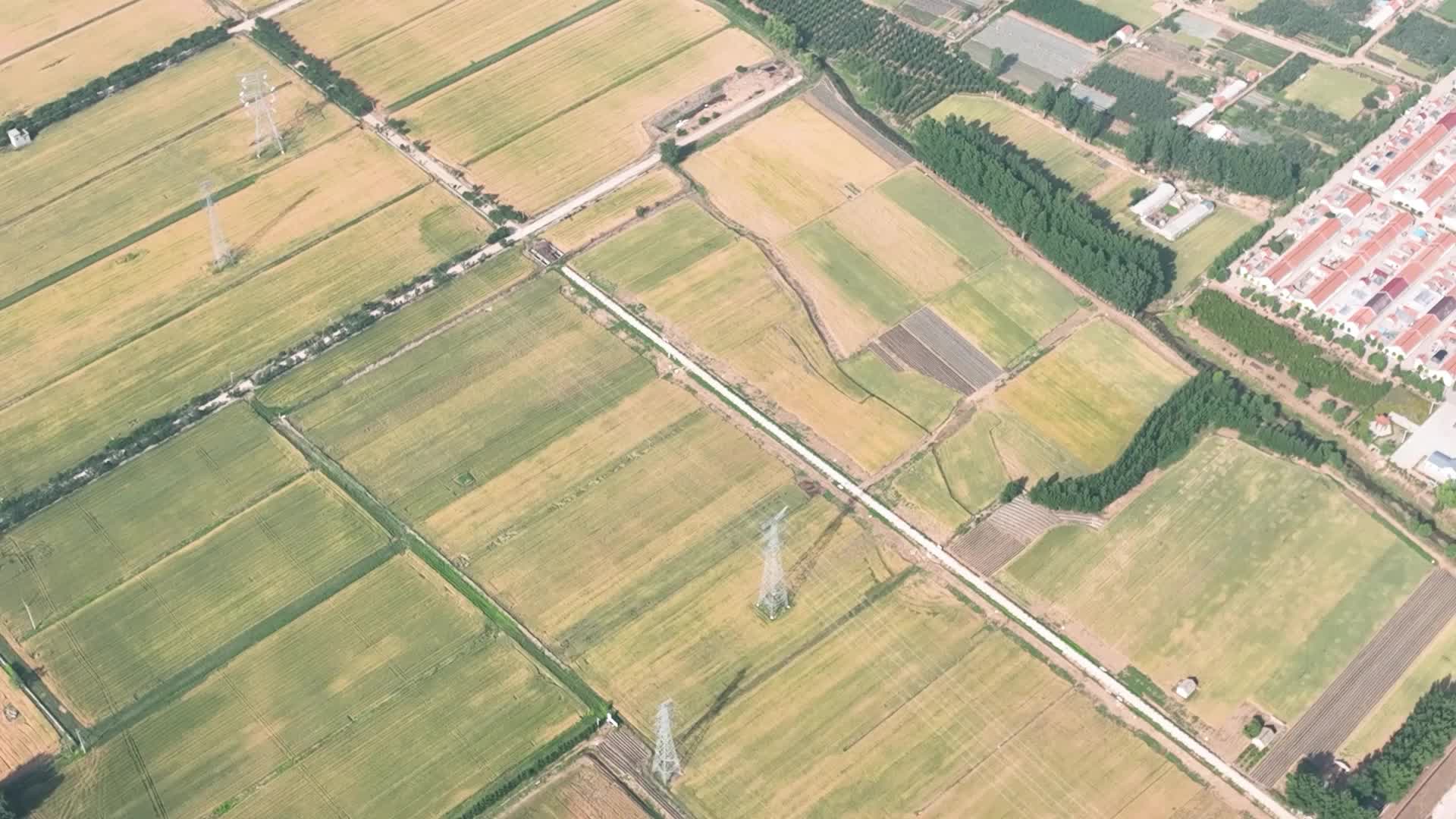 游戏截图示例