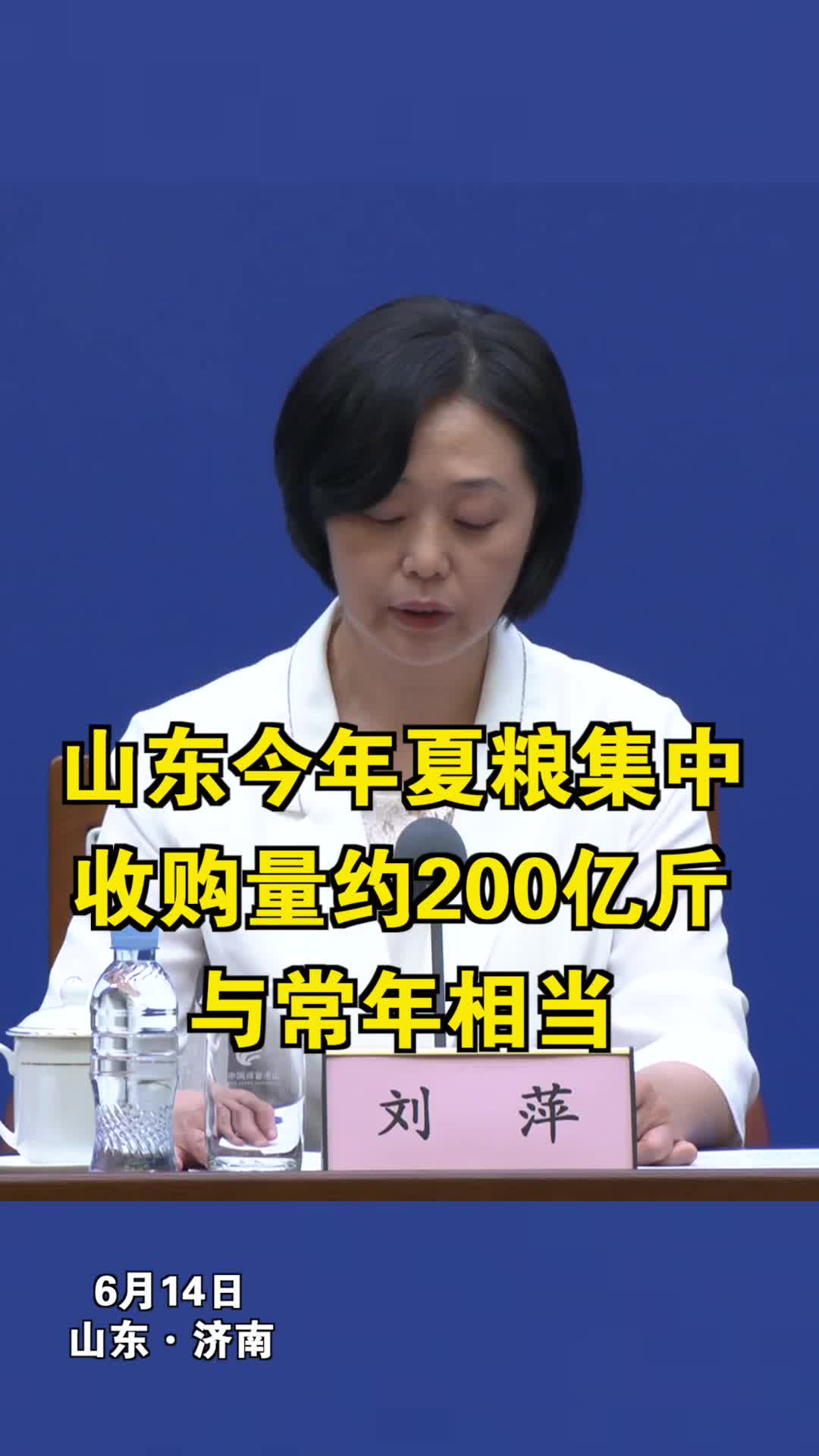 清纯少女壁纸示例