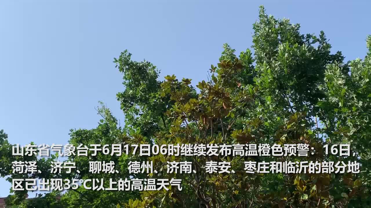 惟特形象图