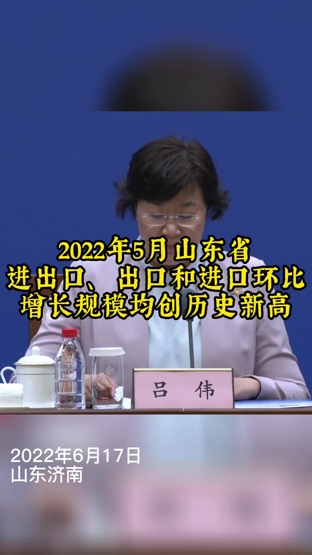 域名停靠软件界面示例