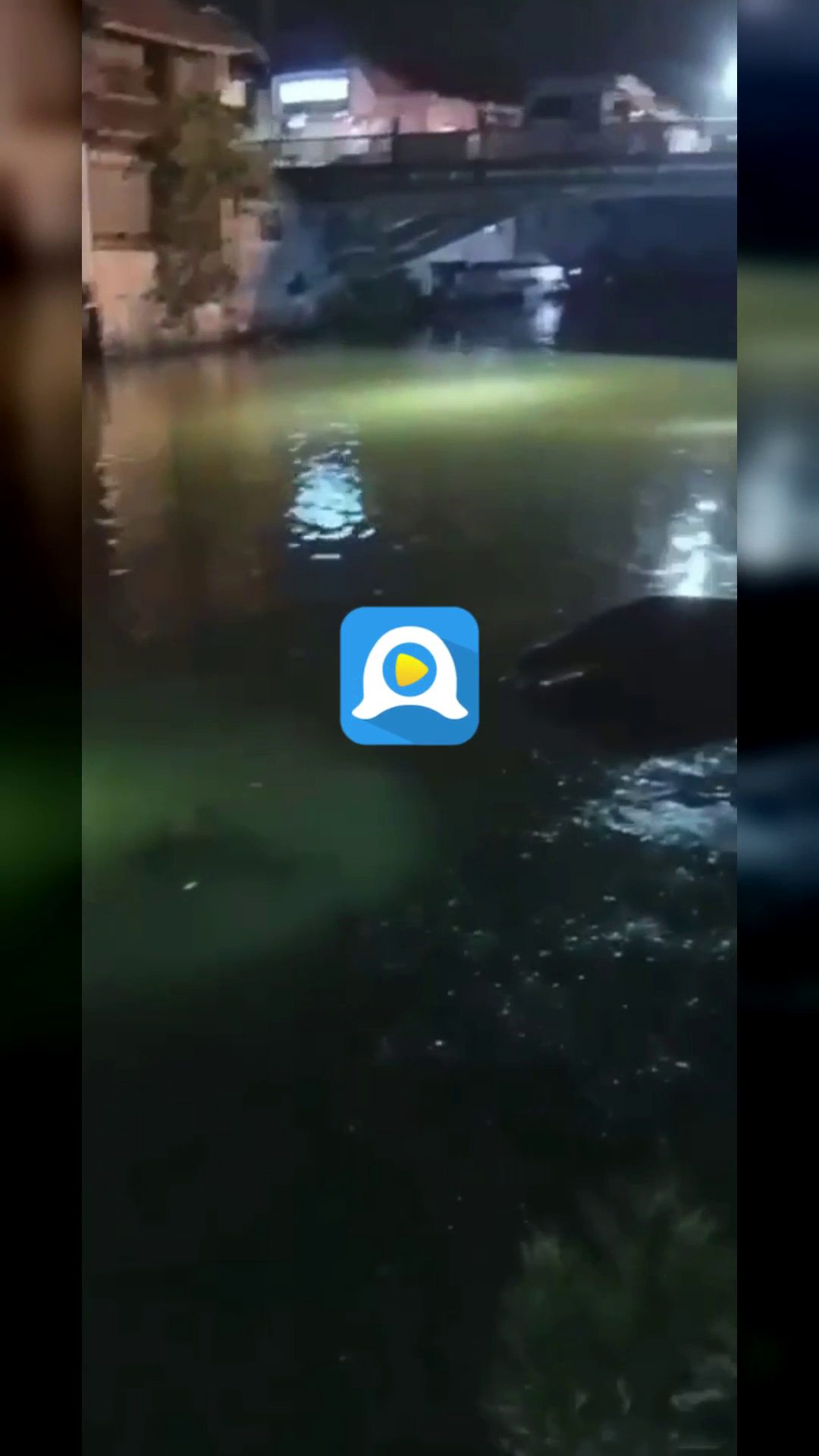 情感交流