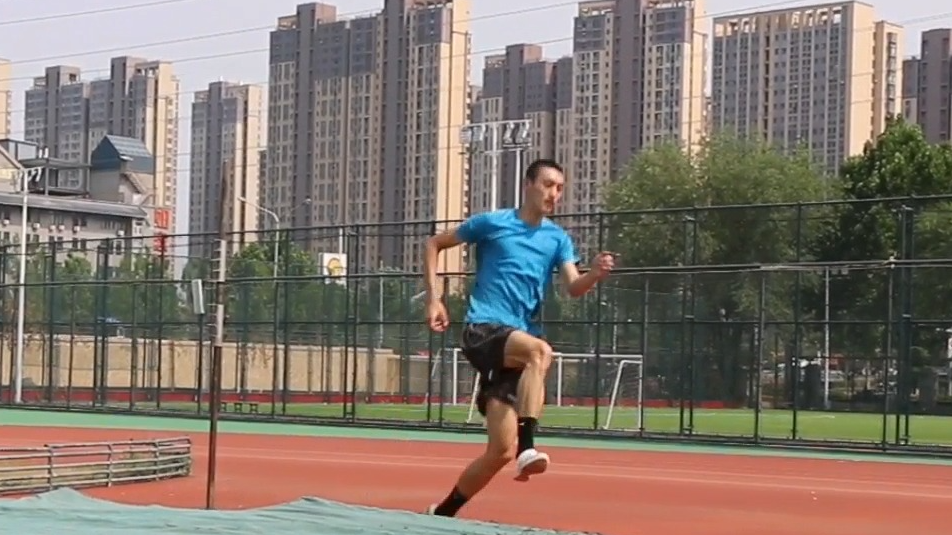 雏鸟Pro 软件界面