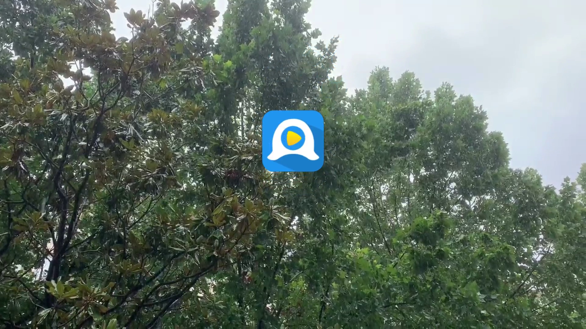 色秀直播 app 直播间互动