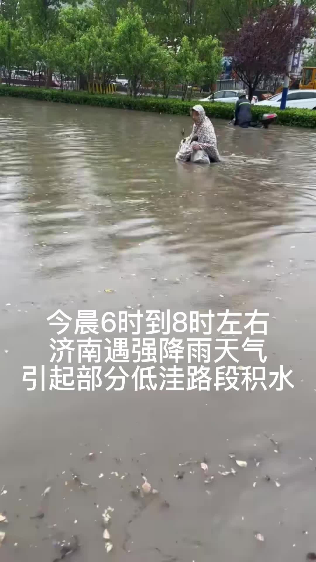 图片一