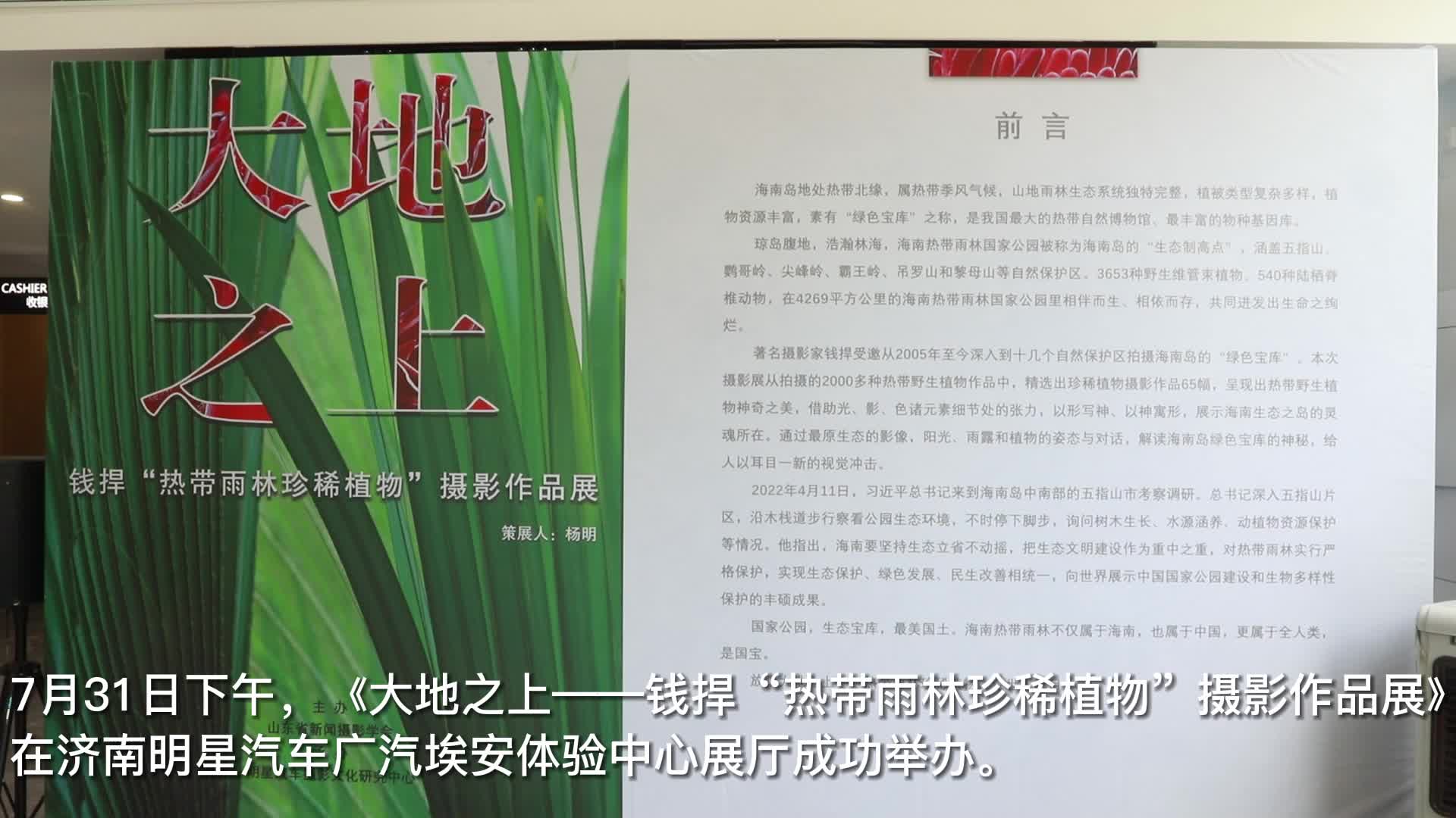 姐妹情深