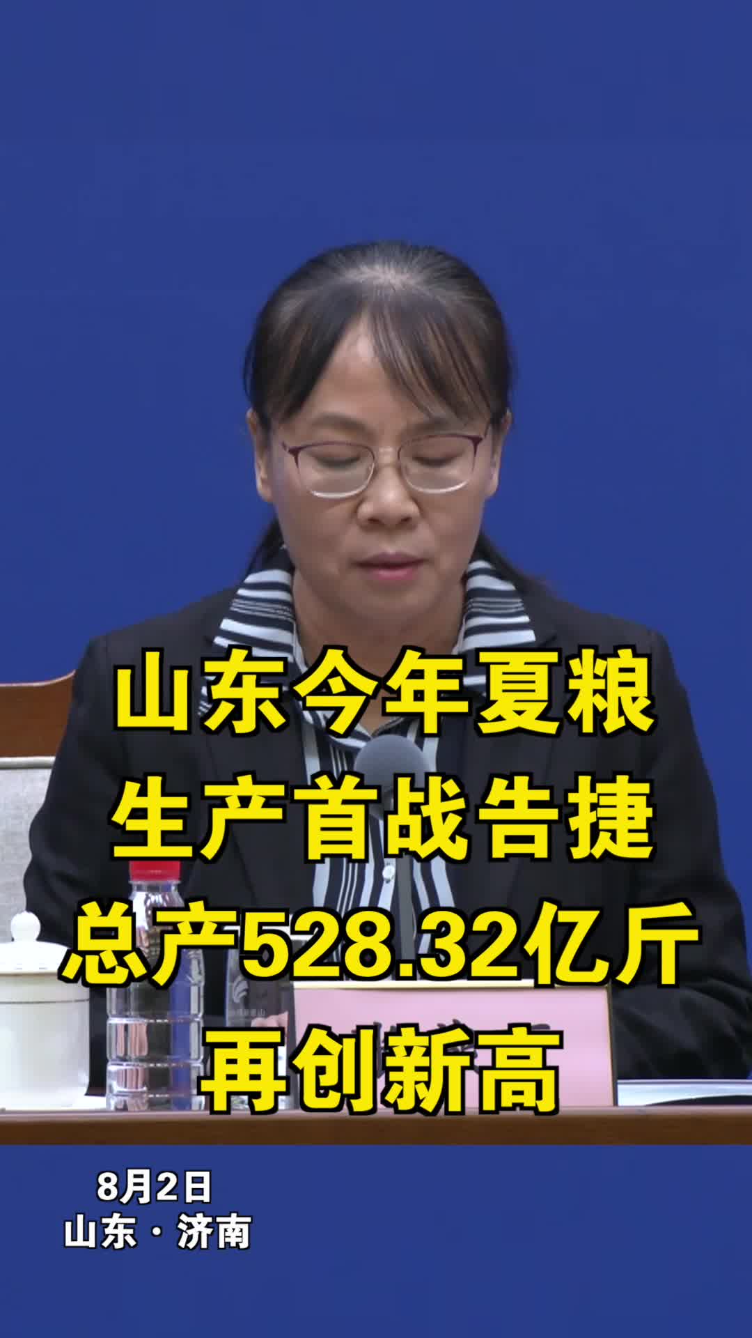 大象项目影响图示