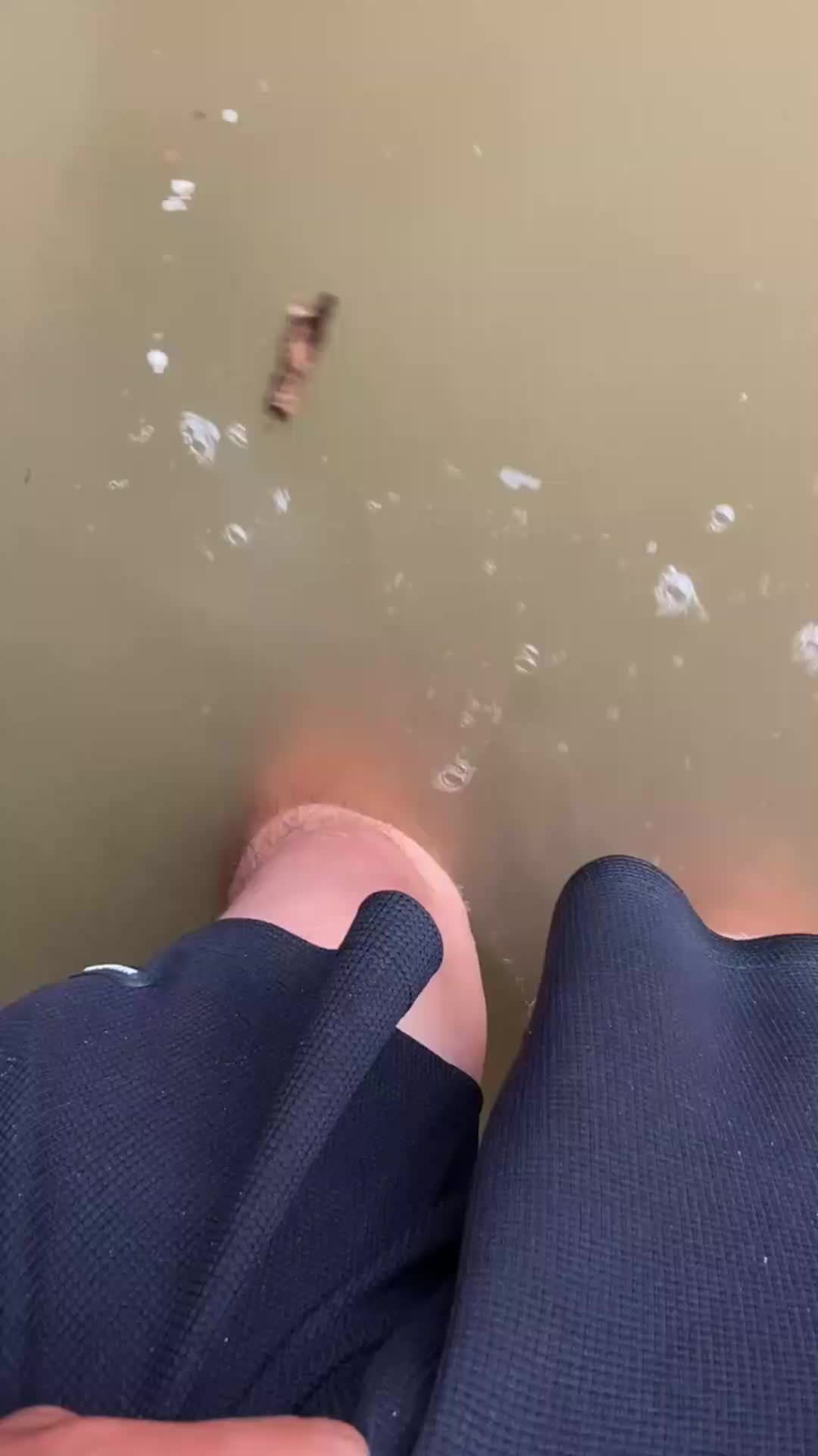 图片二