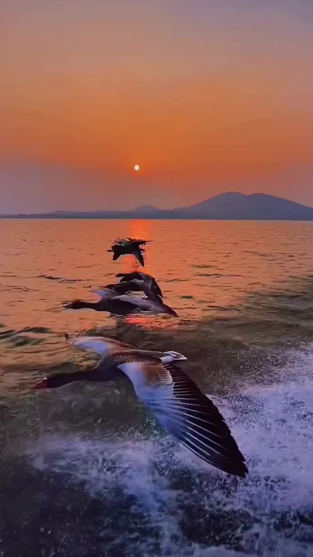 满帮集团app界面