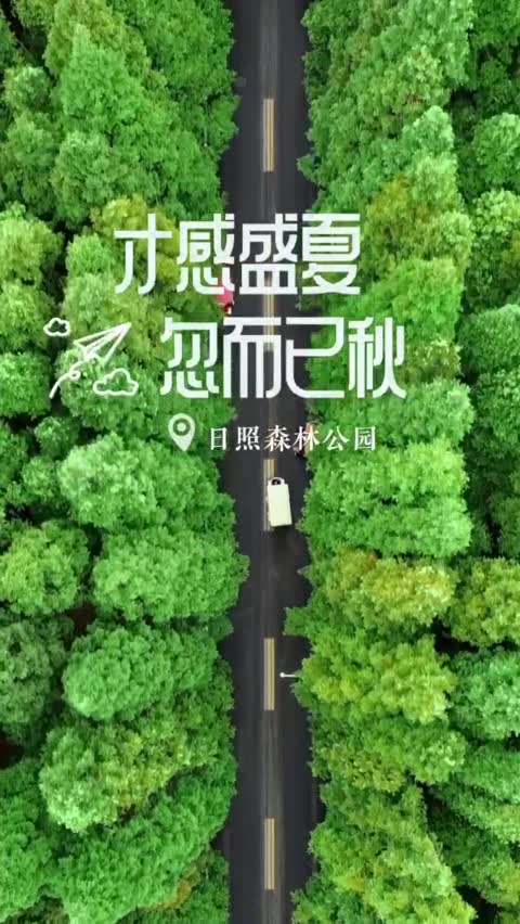 安全使用种子下载