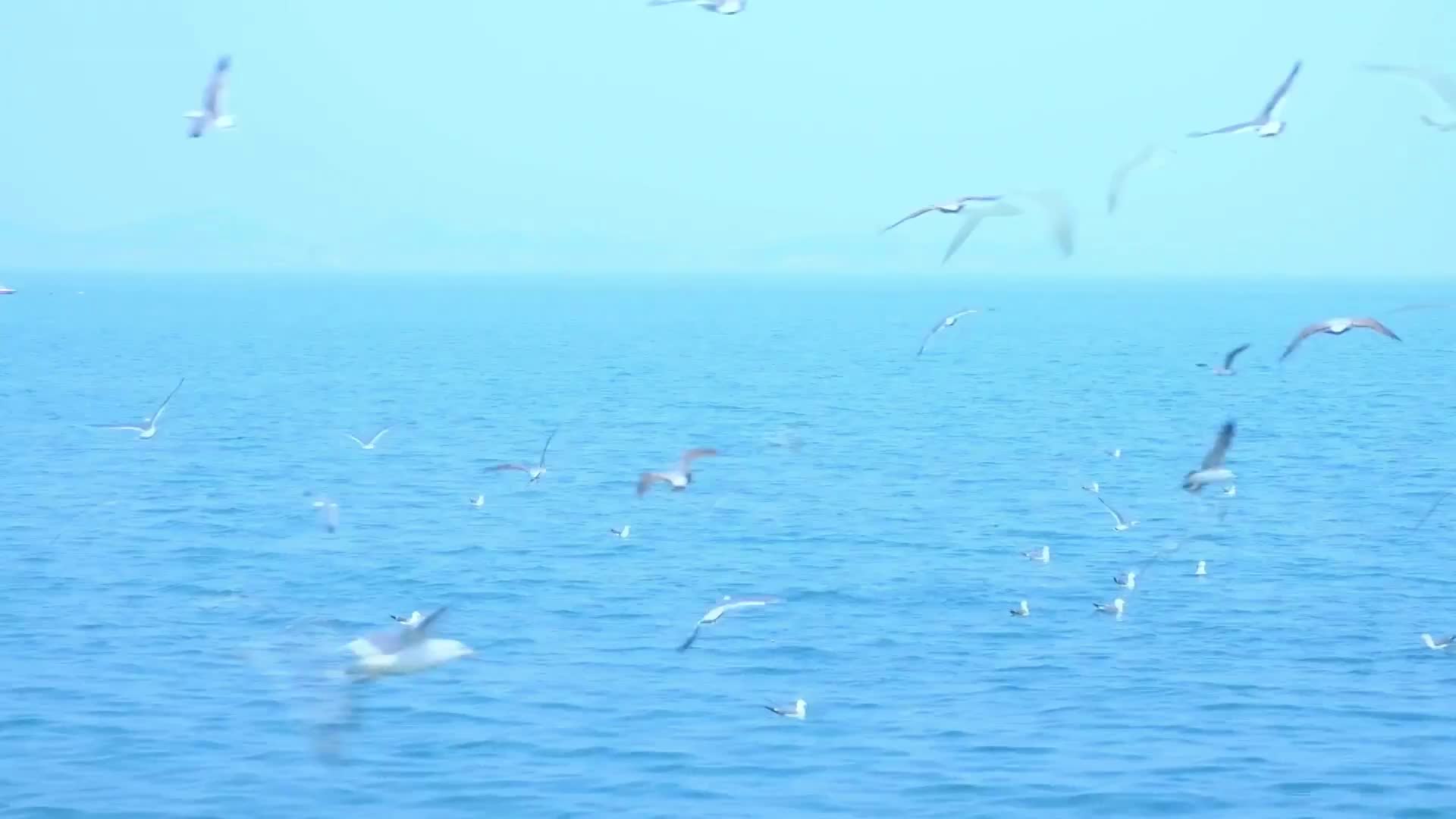 网络安全