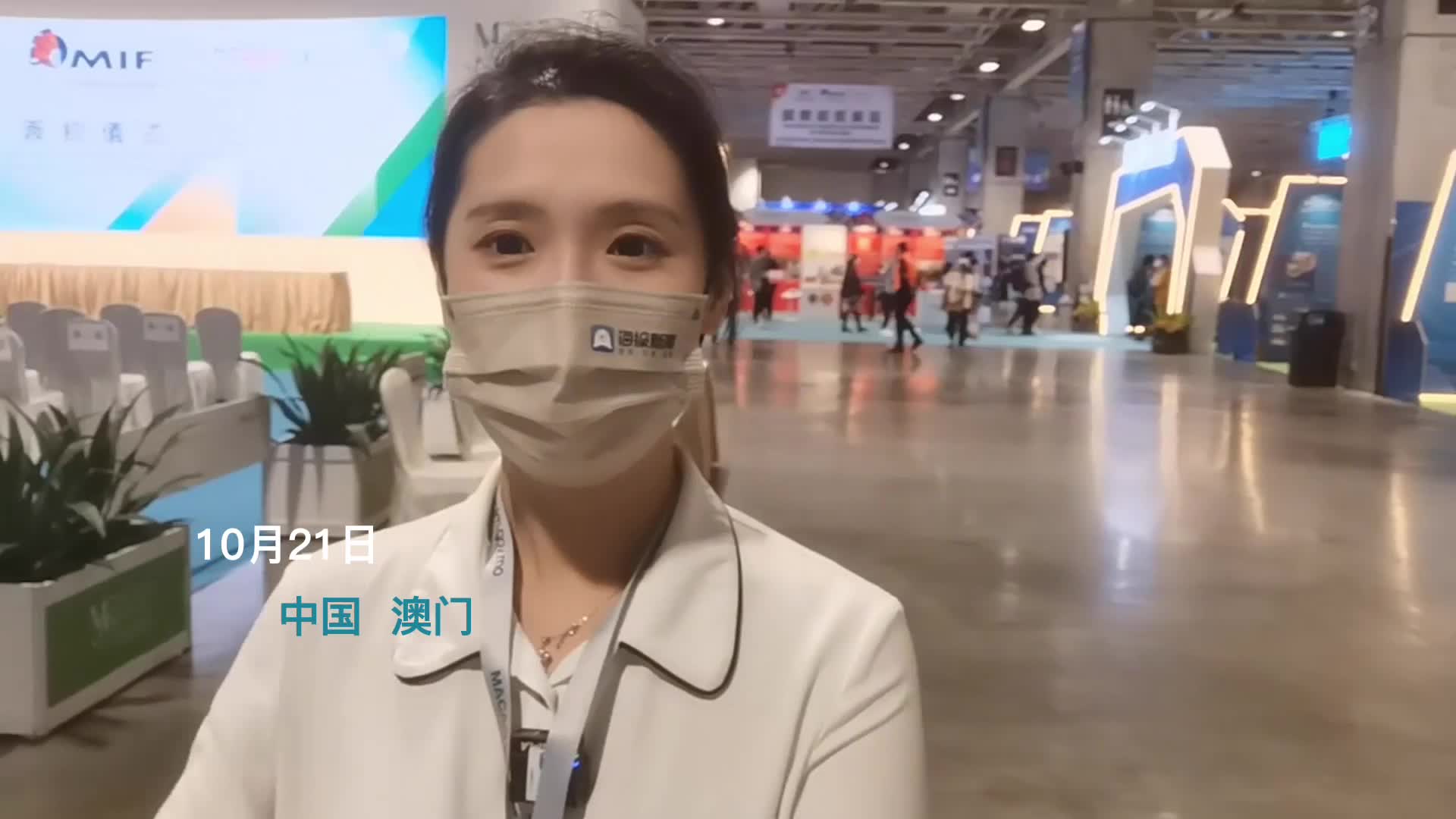 软件运行界面