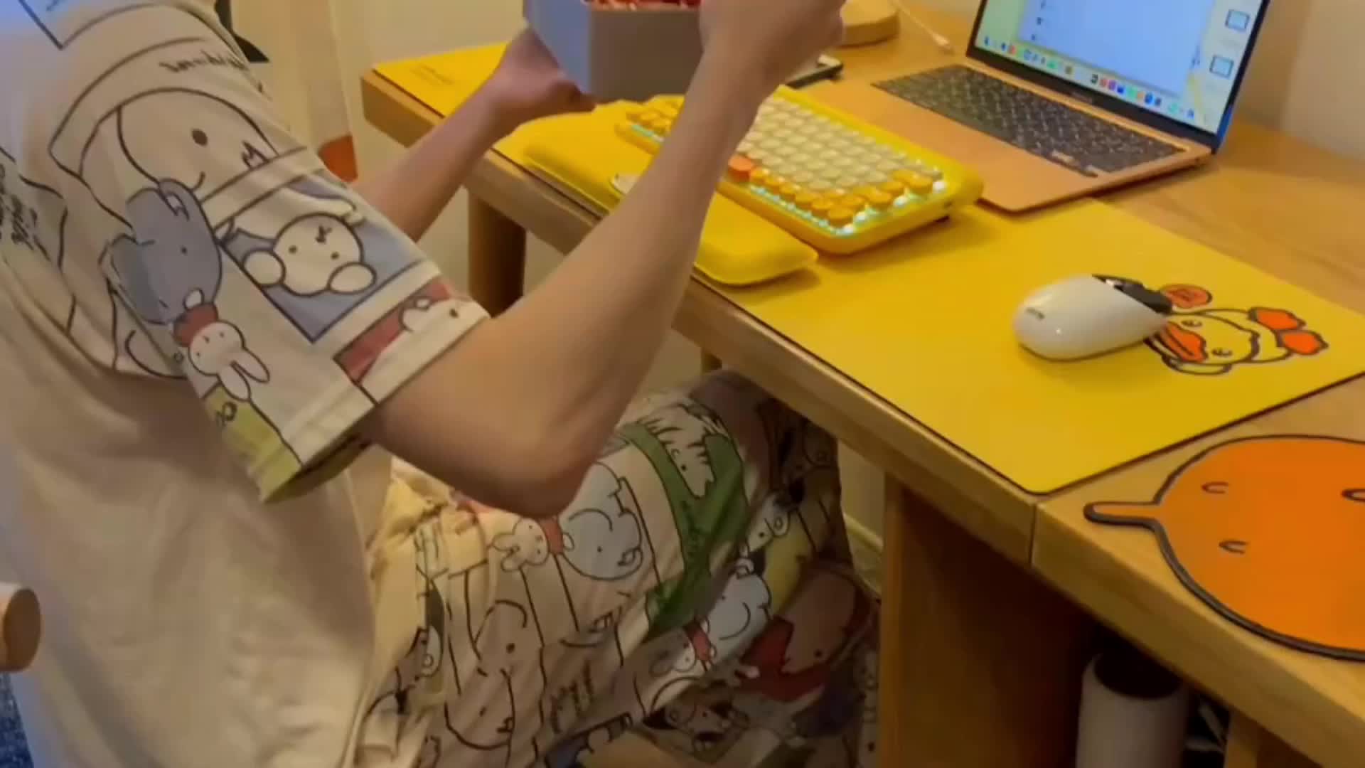 骑行数据分析图