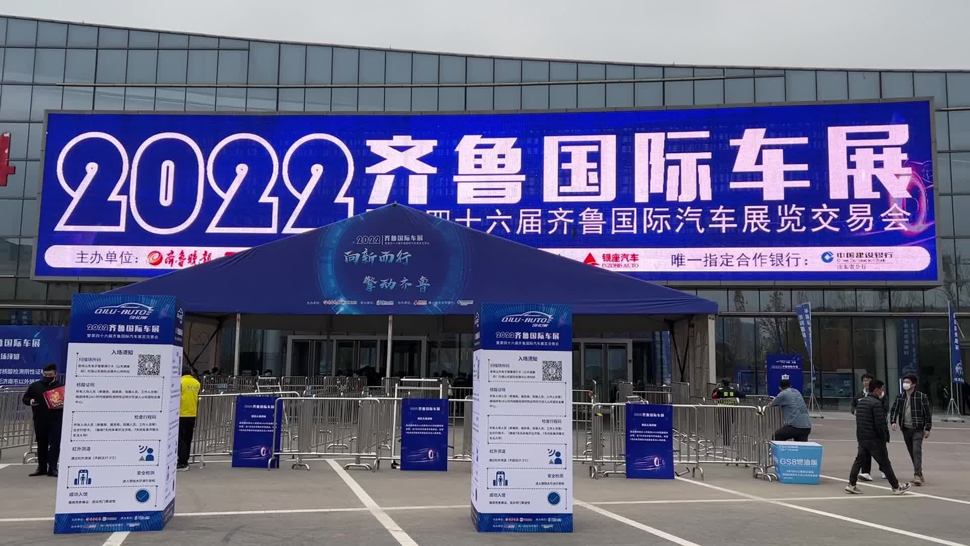 猫咪们在互动