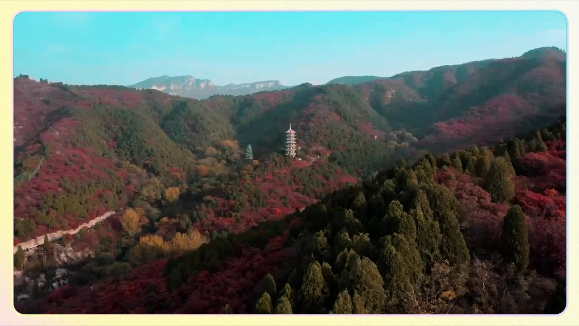 正规的观影渠道