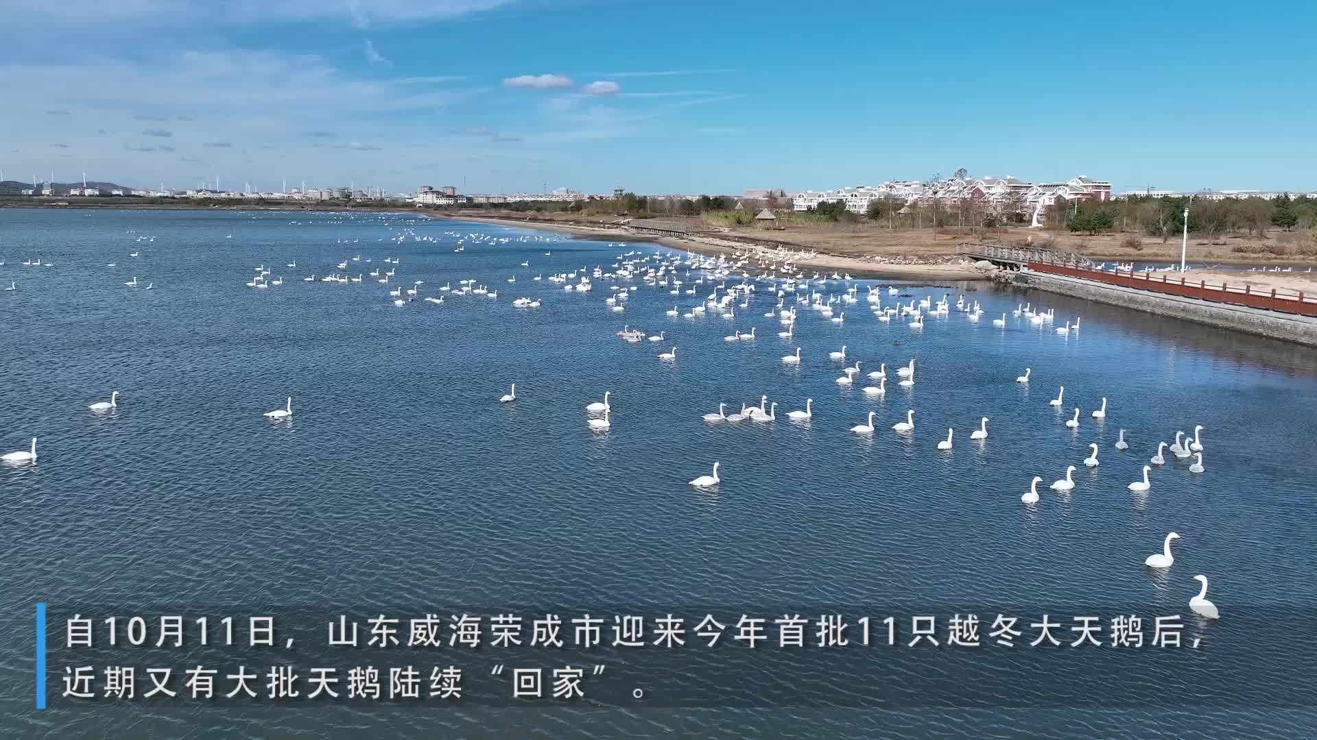 美足爱好者聚会