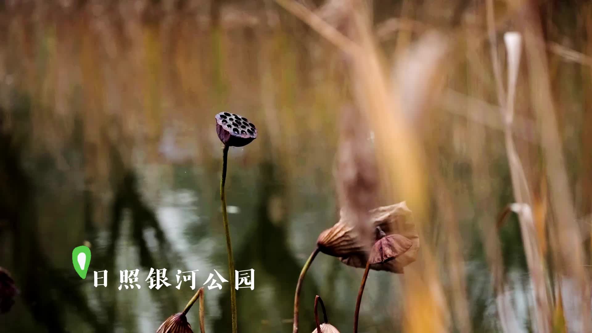 母女关系图示