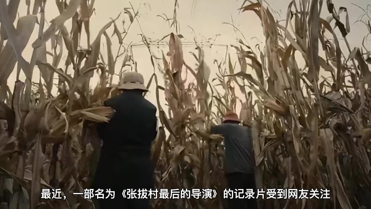 电影剧照