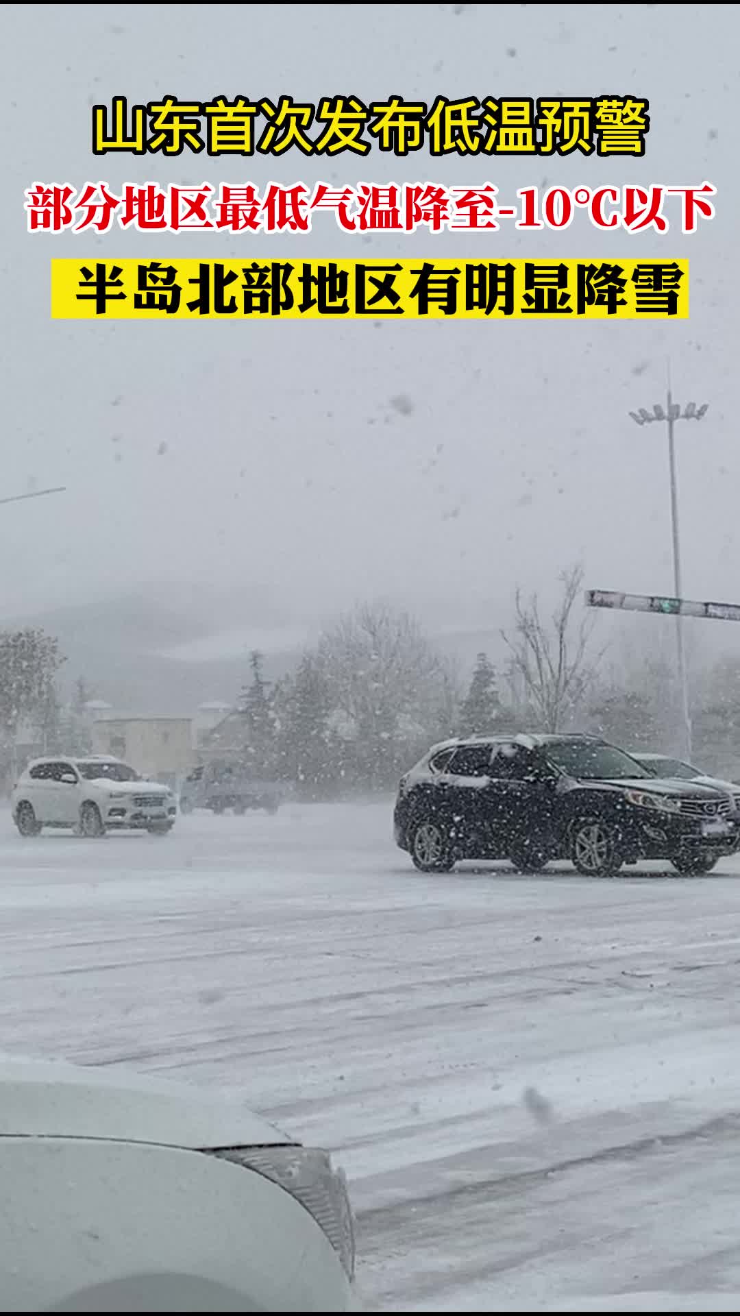 黄品汇色板示例图1
