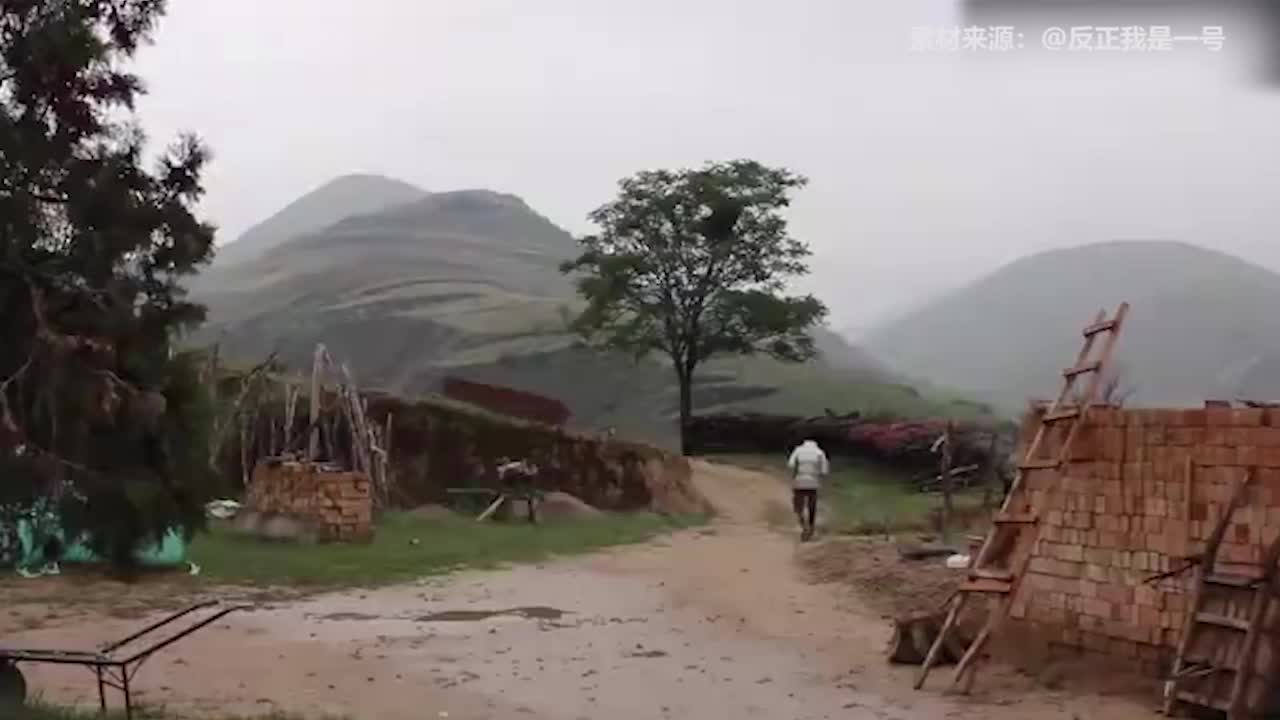 示例图片1