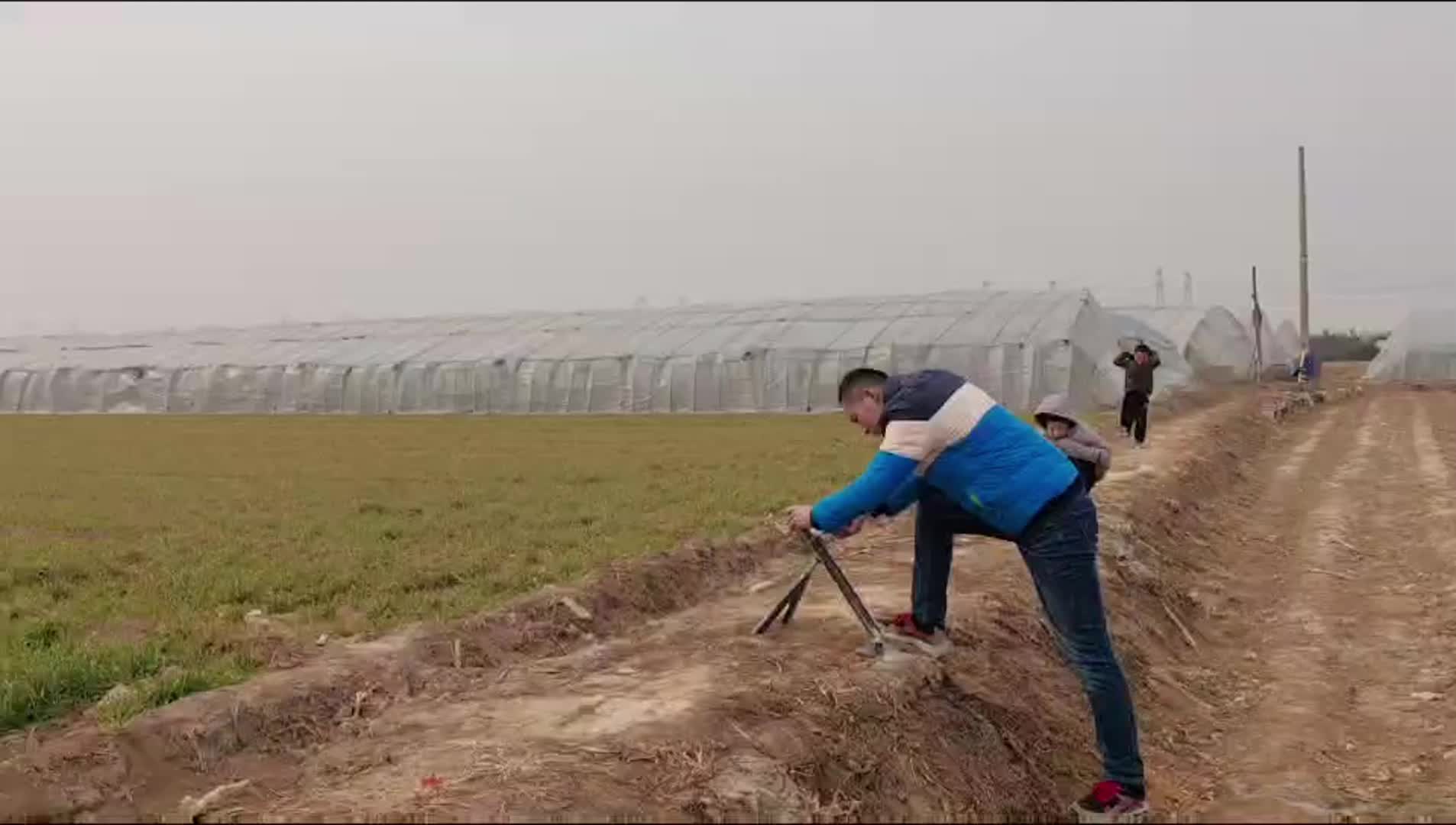 颜色预览应用的色彩调色板图示