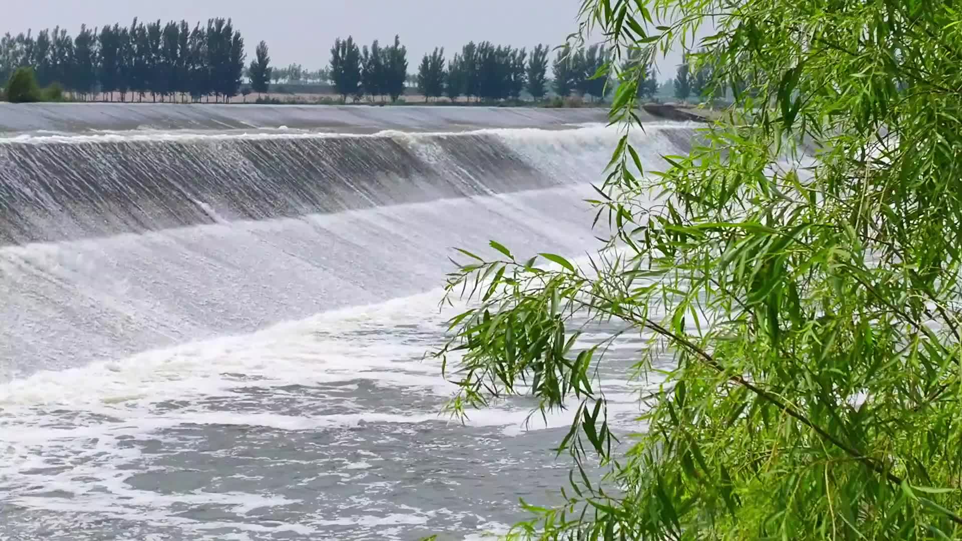 戴村坝景区图片