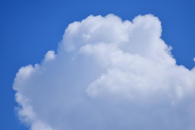 那蓝天上的朵朵白云像是一串串美味的棉花糖