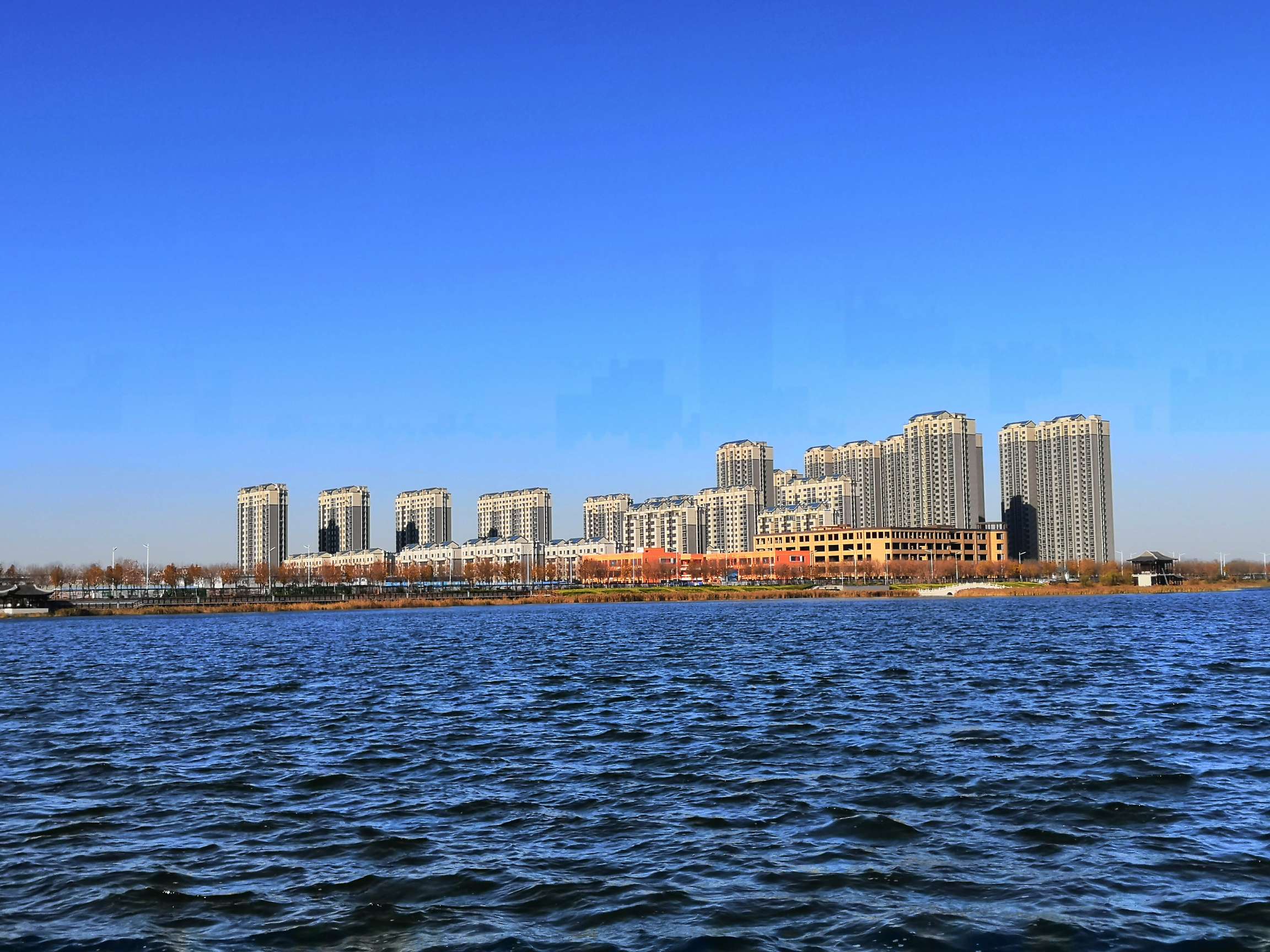 滨州北海新区杨海建图片