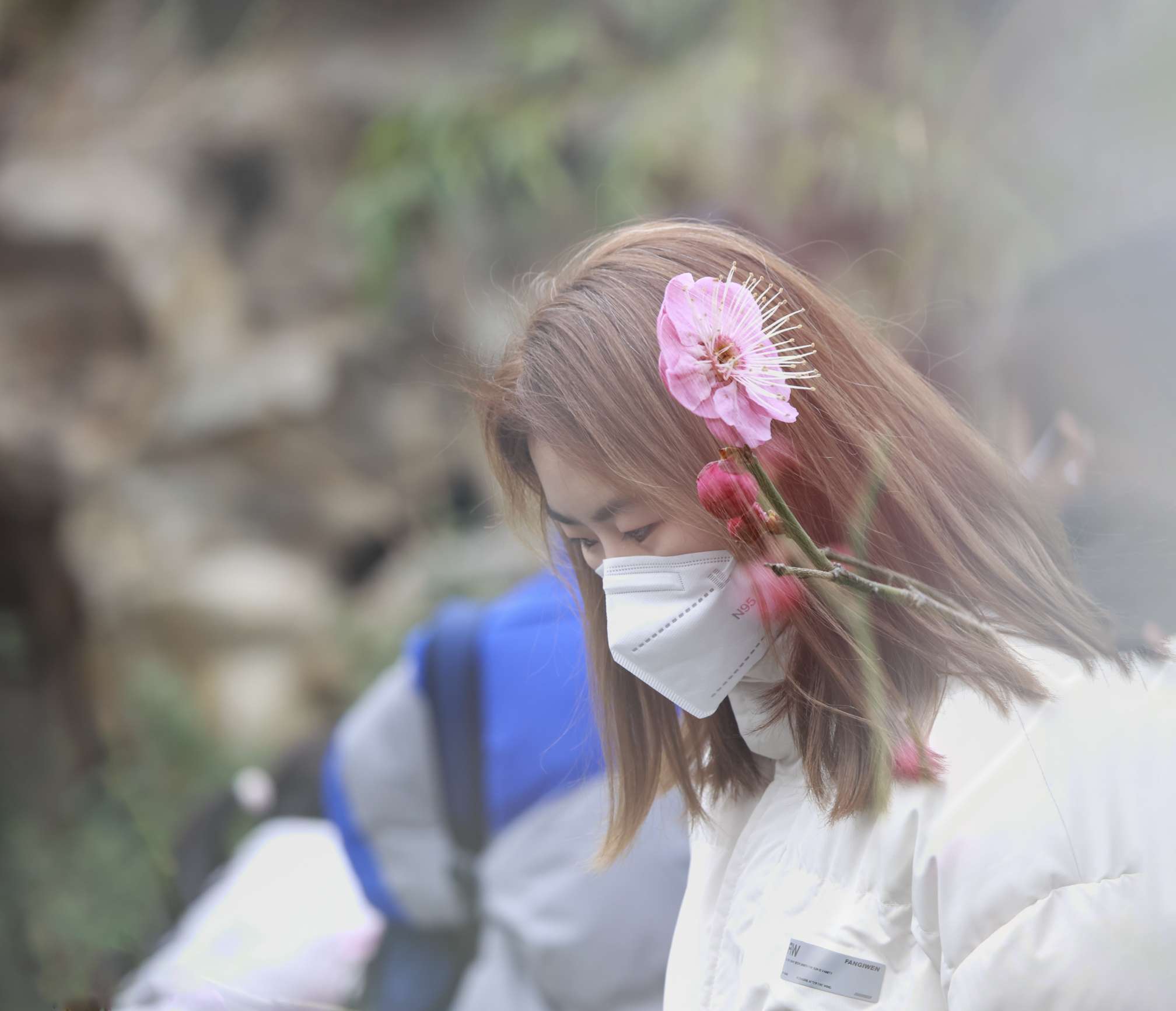 摄影技巧二次曝光拍梅花