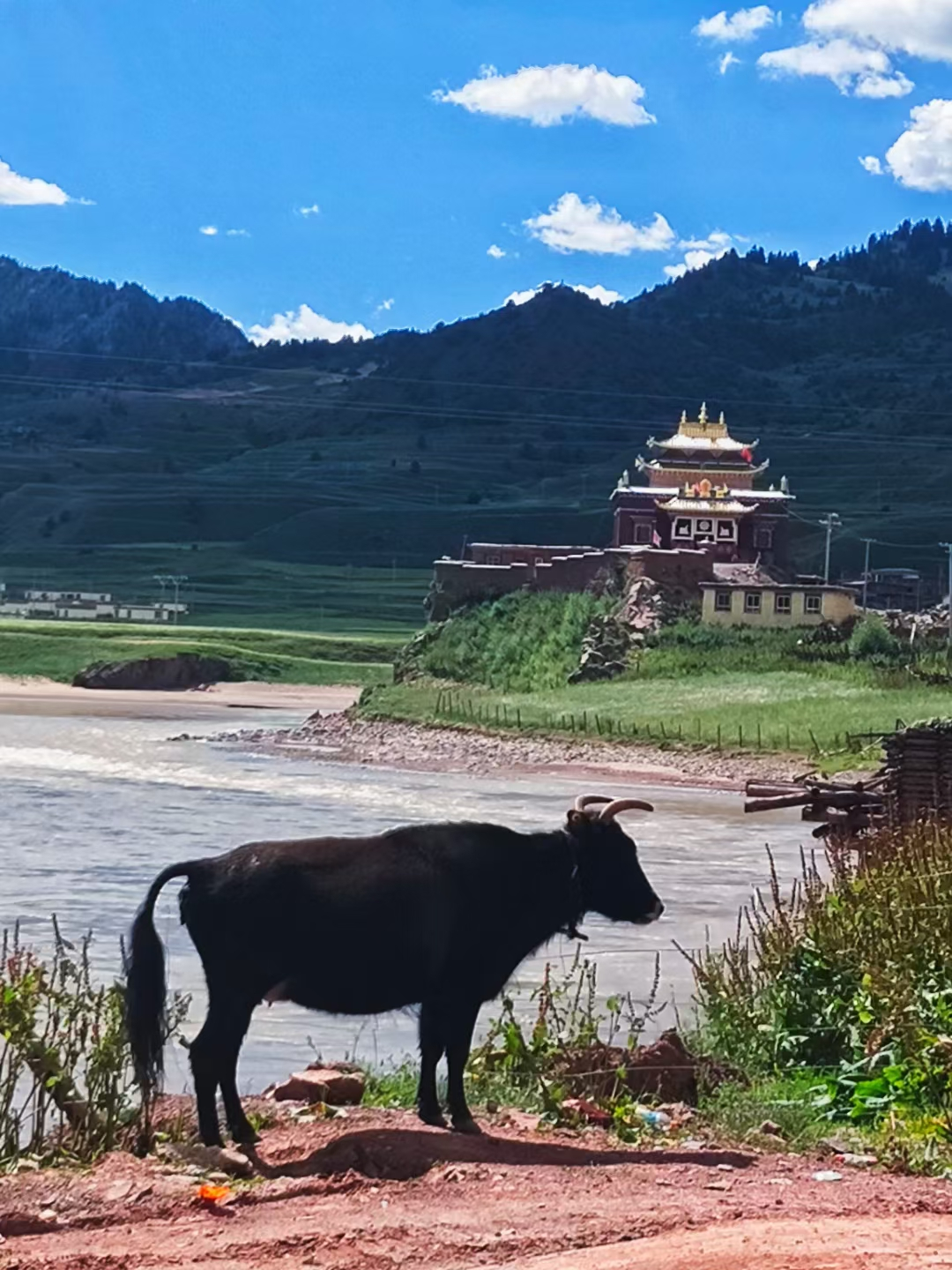 类乌齐景点图片