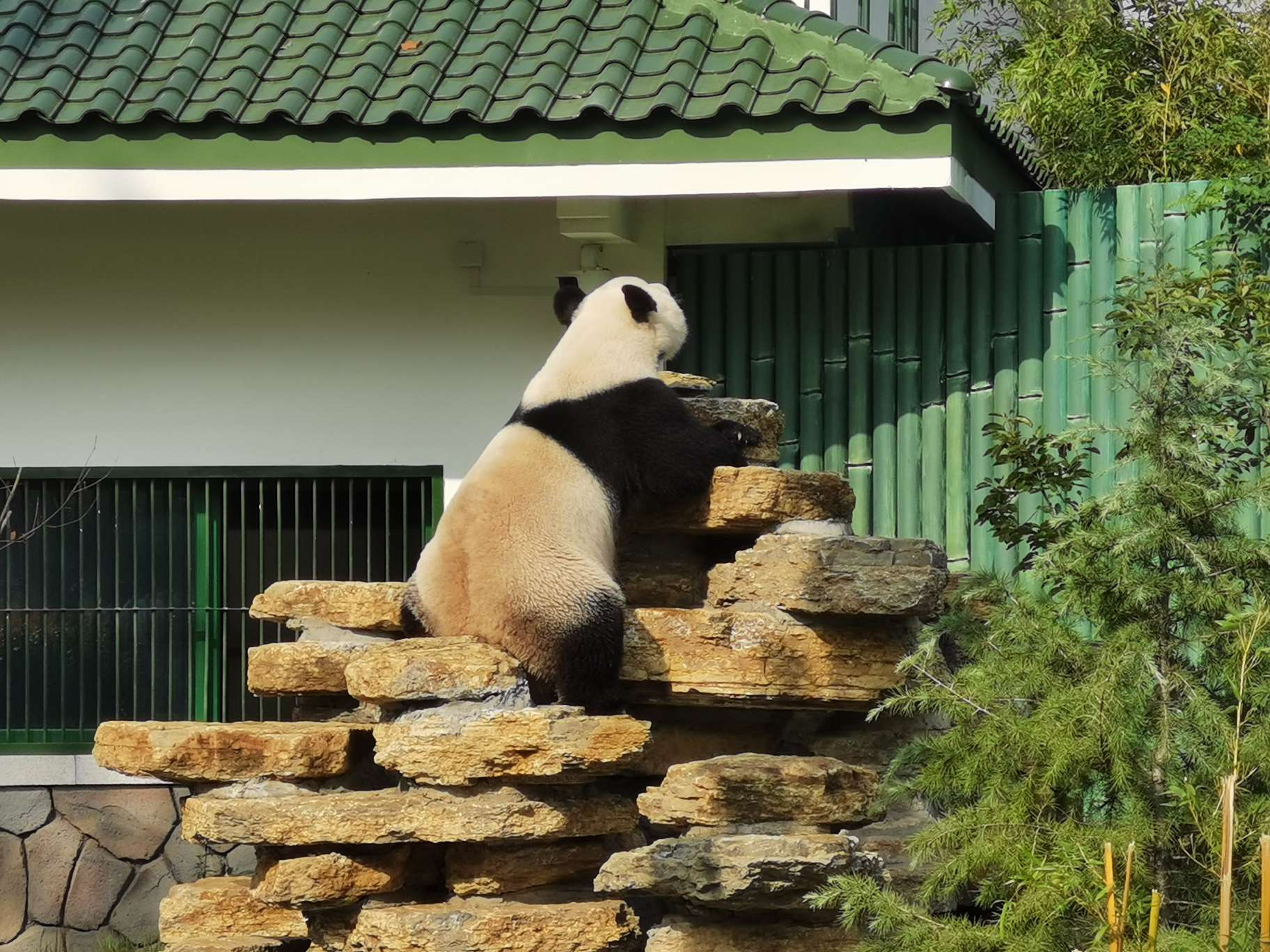 济南动物园有什么动物图片