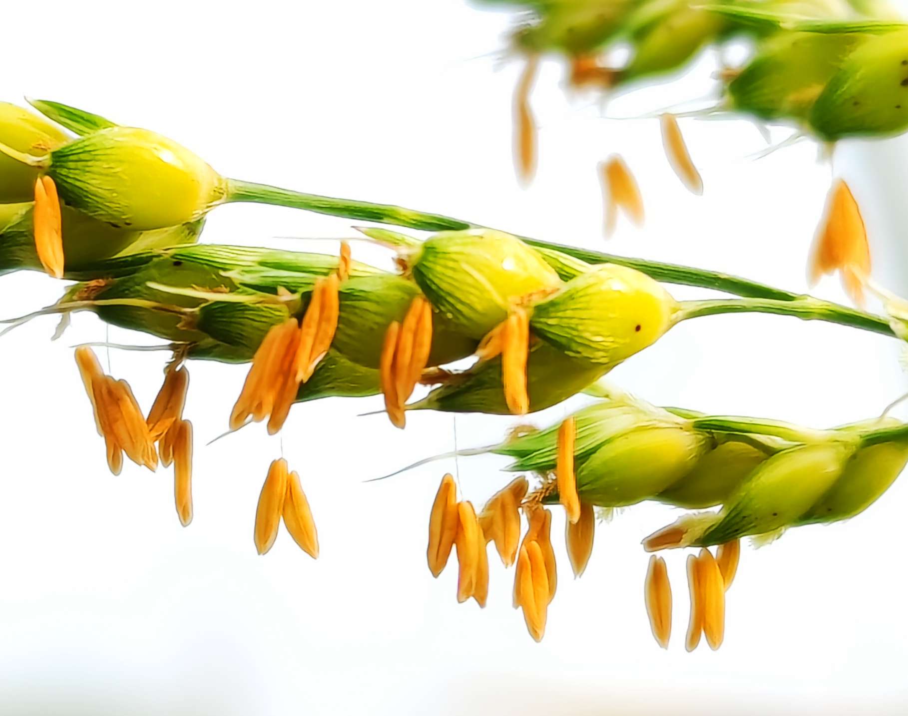 10月9日