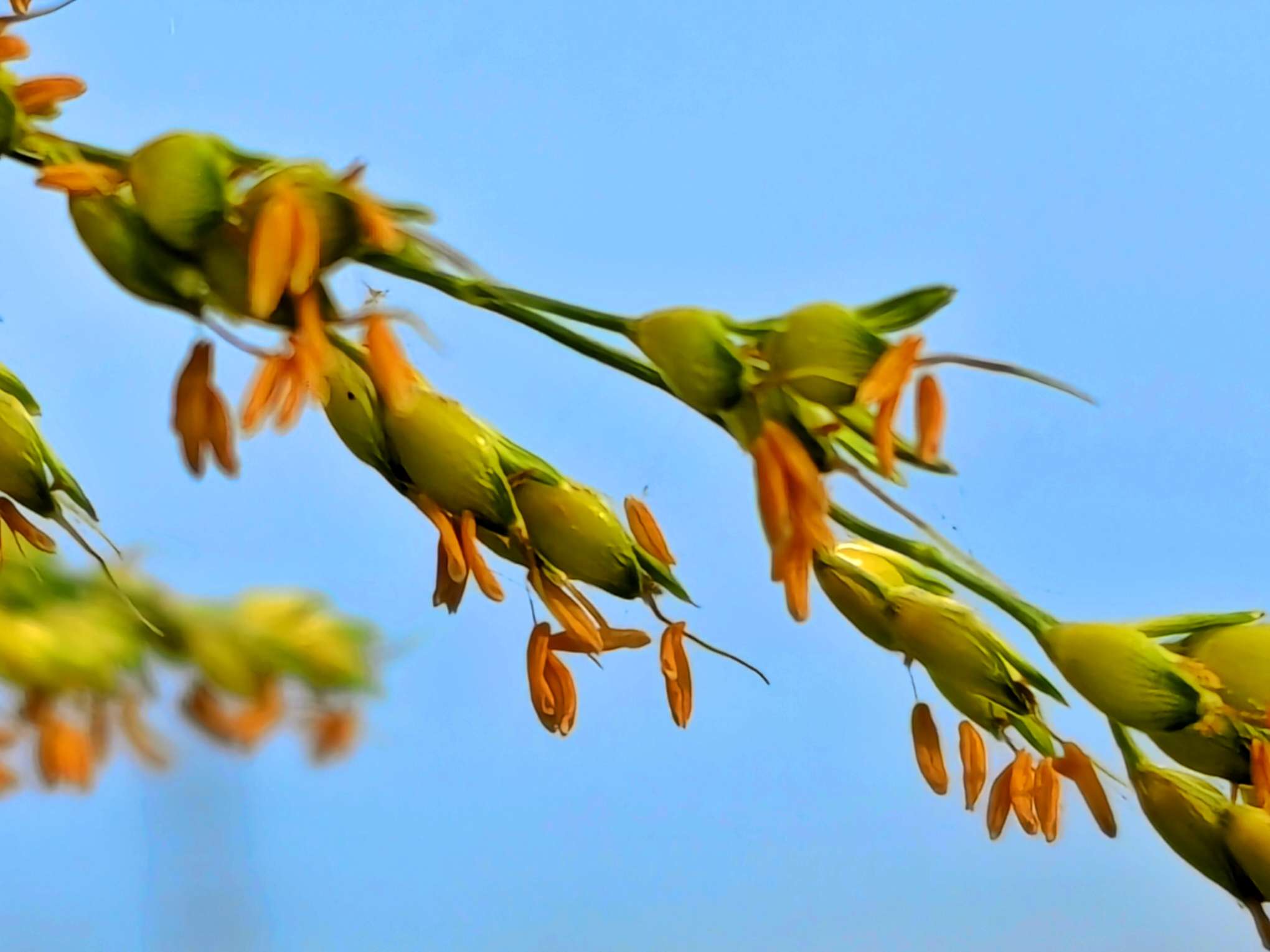 10月9日