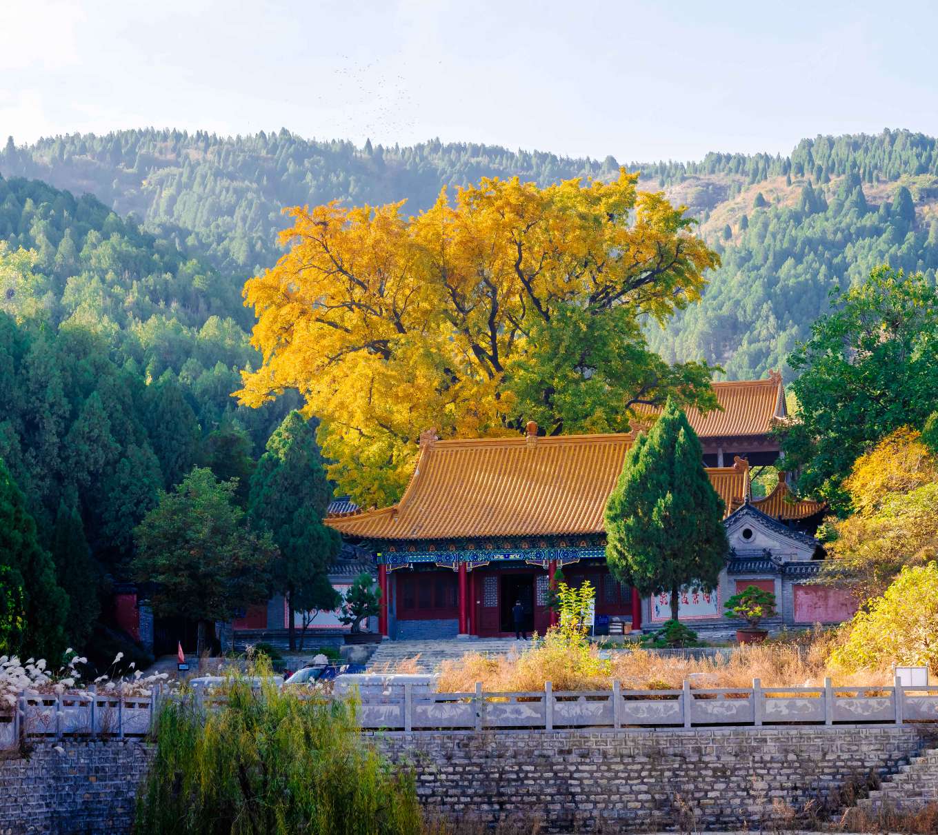 淌豆寺一泉一树一禅寺