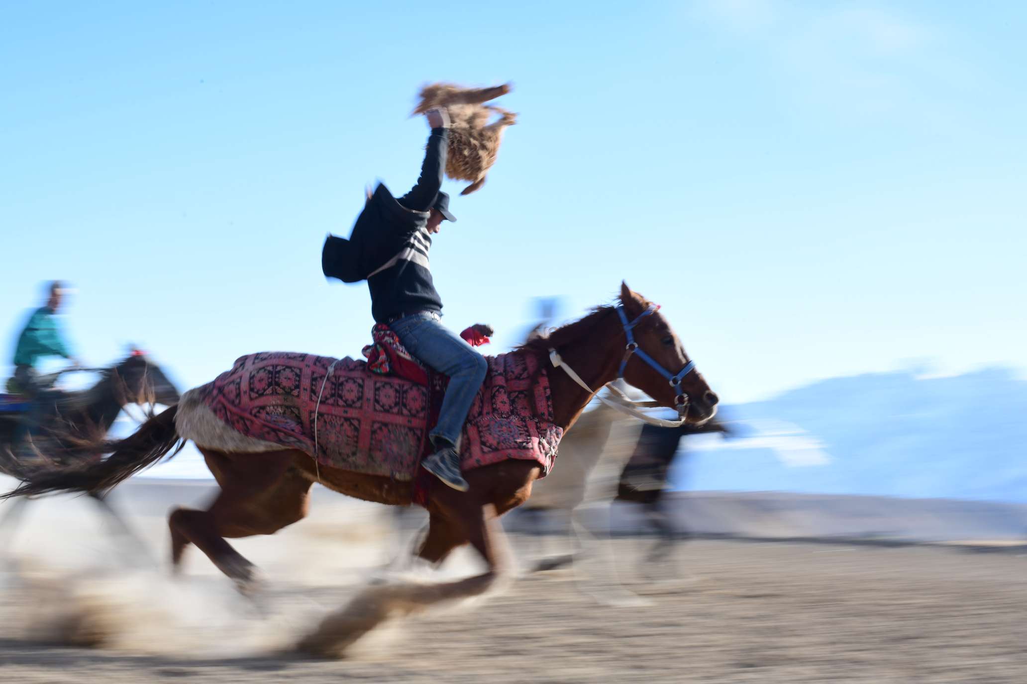 哈萨克族赛马叼羊图片