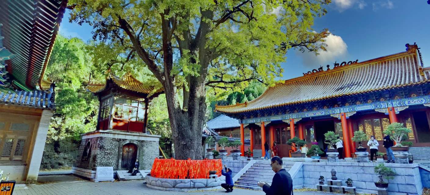 探访济南淌豆寺(2023116)