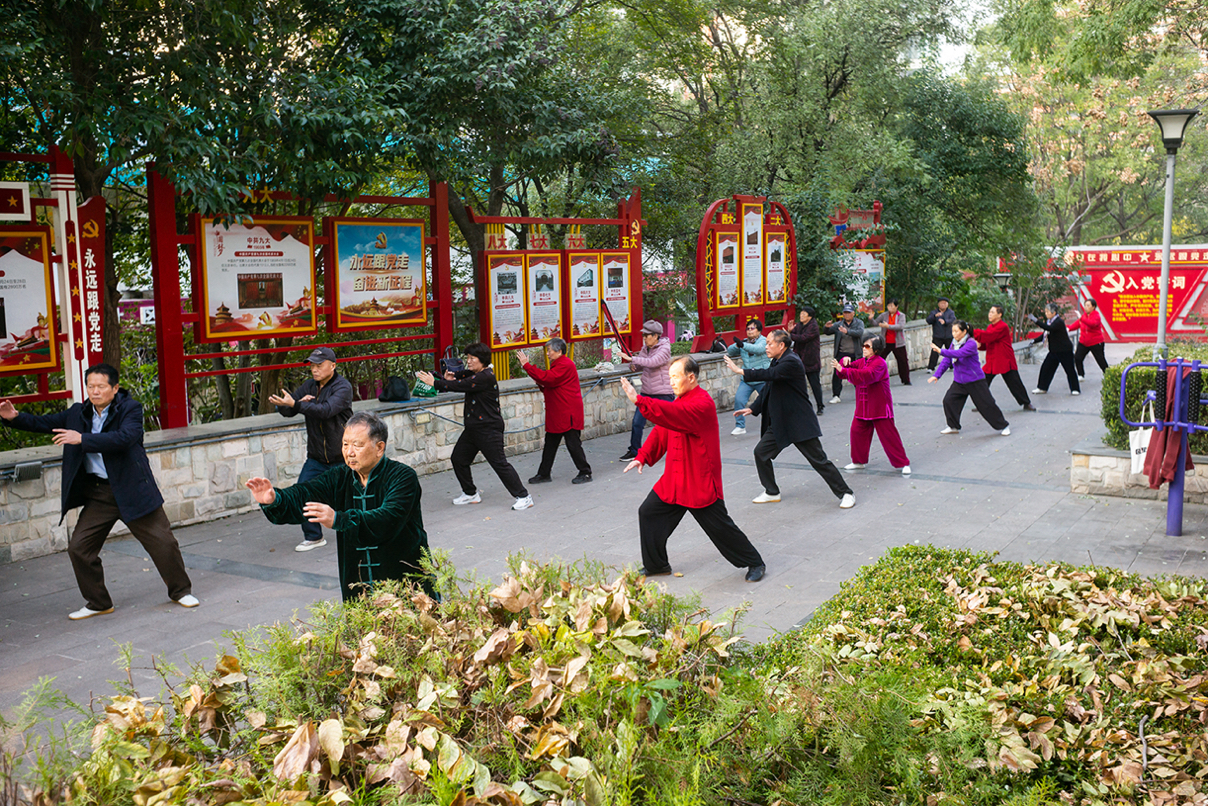 领智路边公园下午太极拳