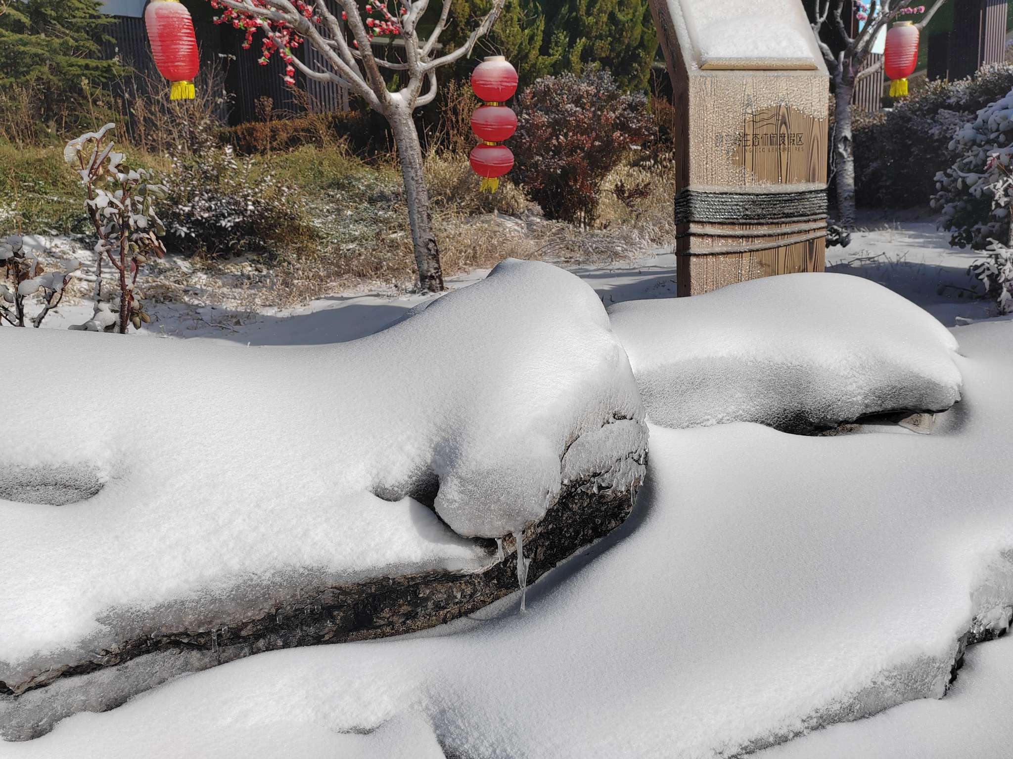 济南也有雪乡啦跑马岭已开启造雪模式冬日时光享美景