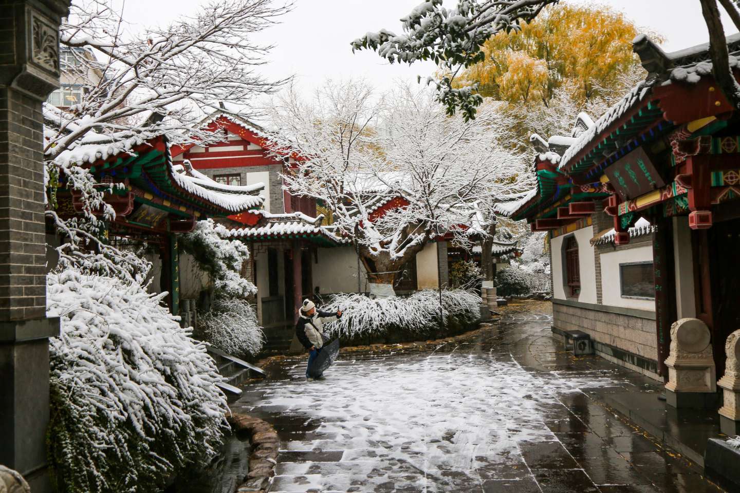 济南雪景美如画一起来看济南的冬天银装素裹有多美