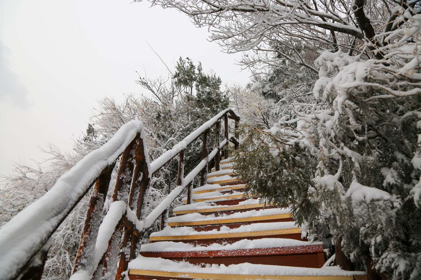 绵阳千佛山雪景图片