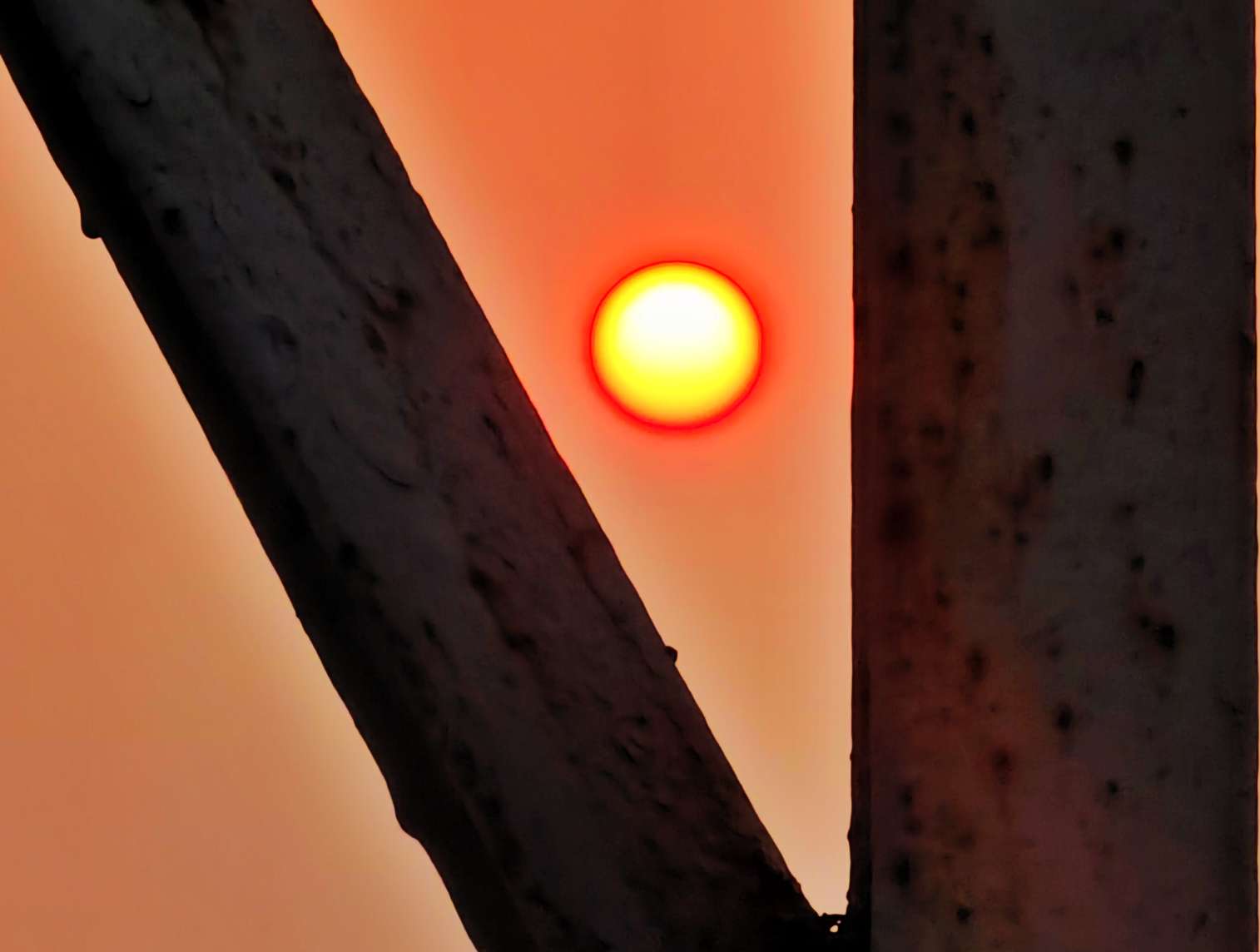 夕阳西下 太阳落山映晚霞