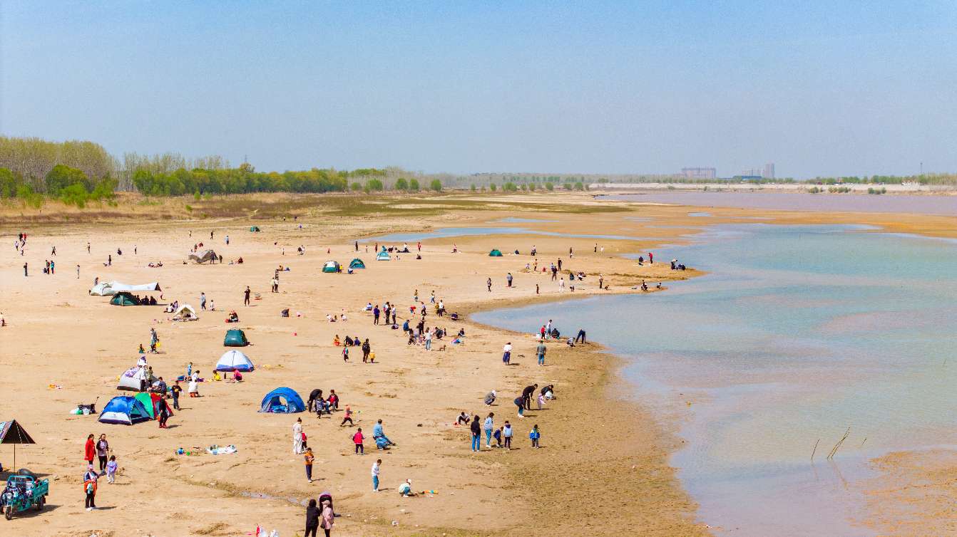 济南黄河生态草坪图片