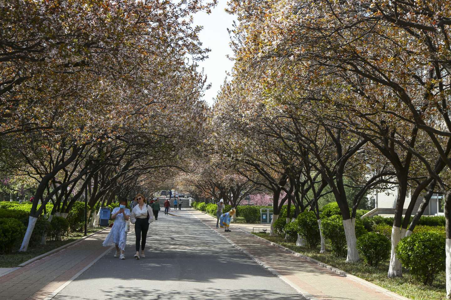 山东师范大学校园风光图片