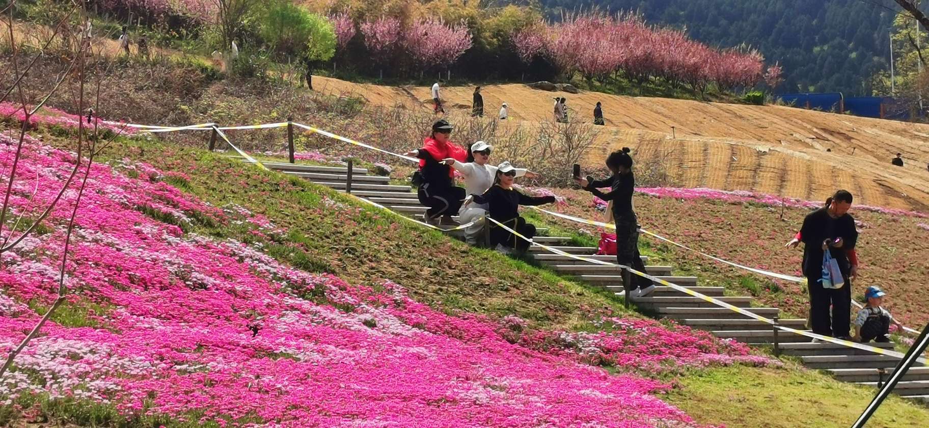 龙洞花海地址图片