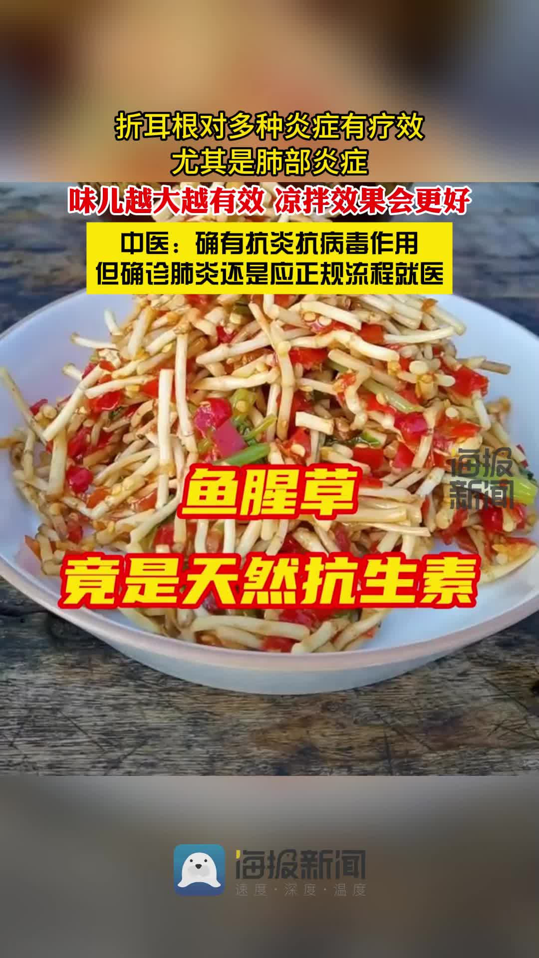 医生:确有消炎功效,但不能作为治病的手段|鱼腥草|清热解毒|抗炎|抗
